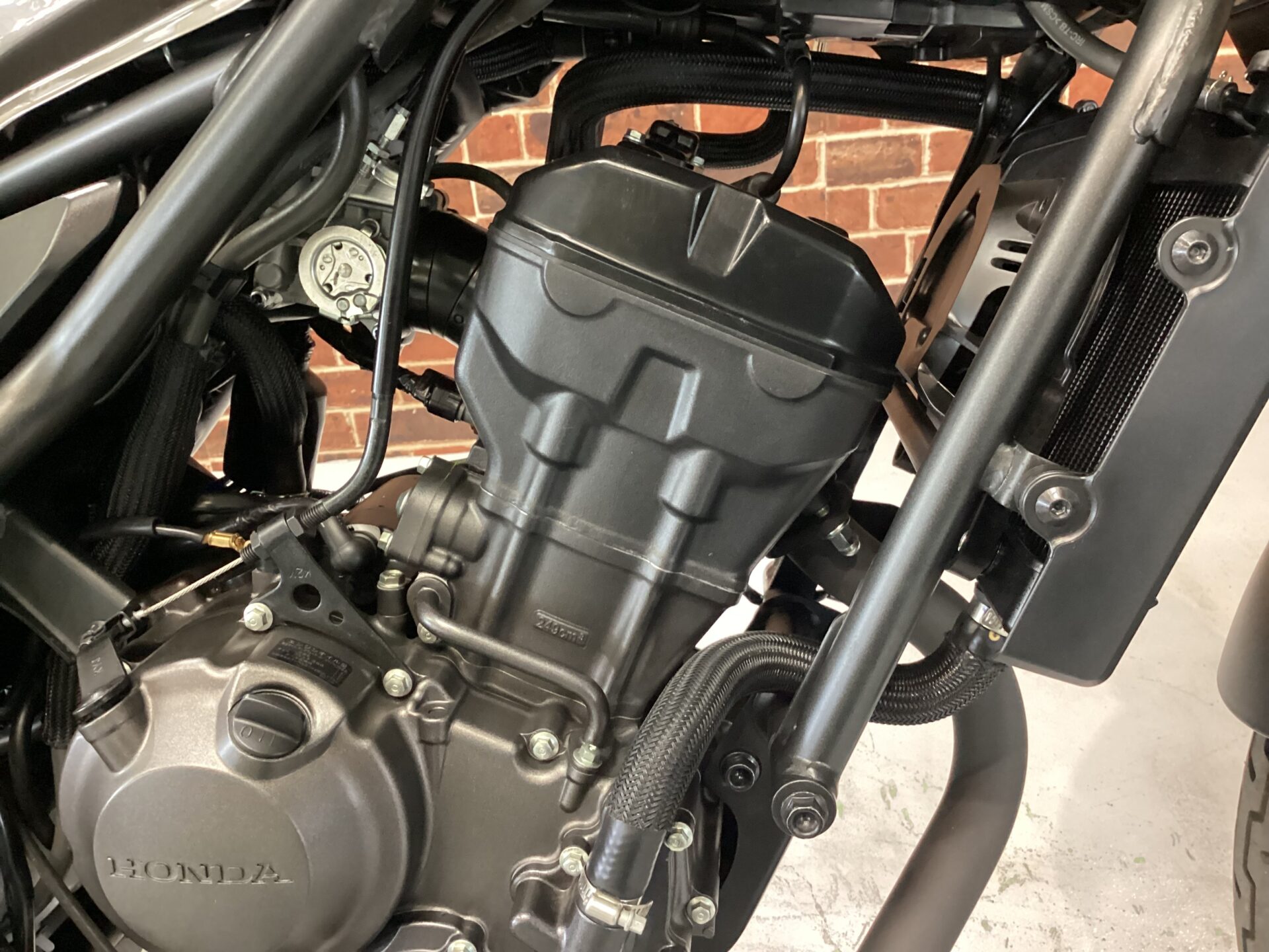 レブル250Sエディション