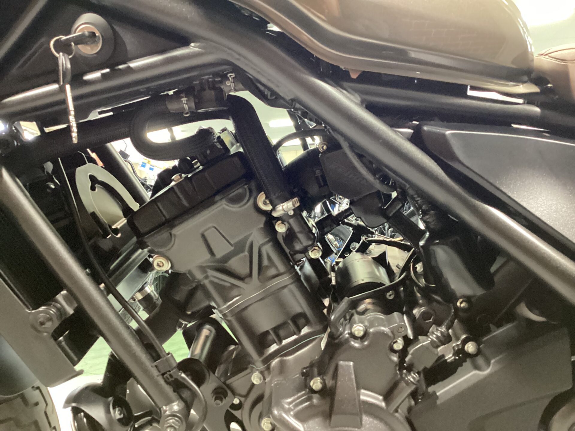 レブル250Sエディション