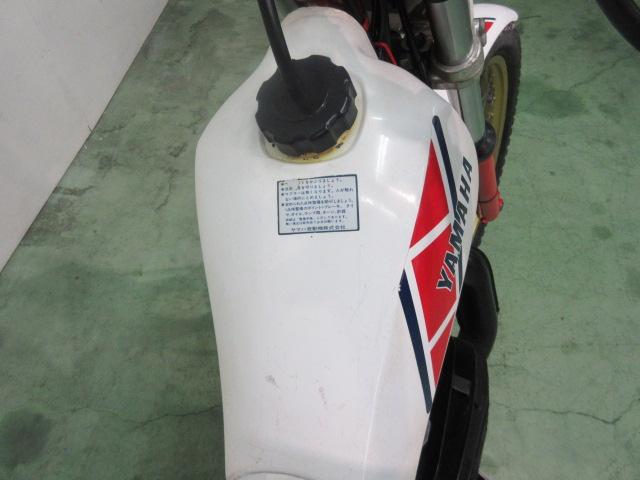 TY250スコテッシュ