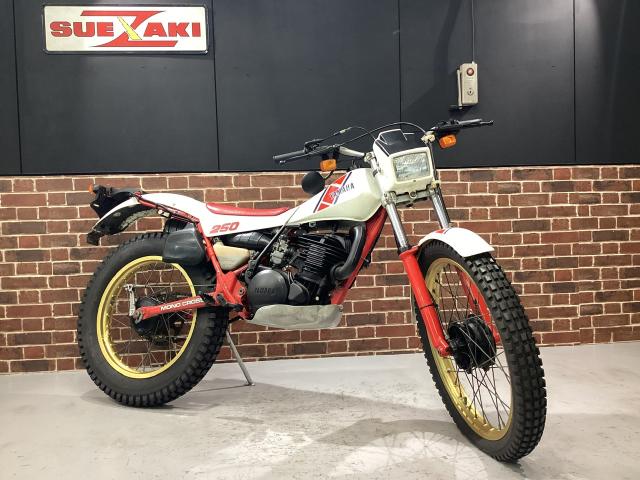 TY250スコテッシュ