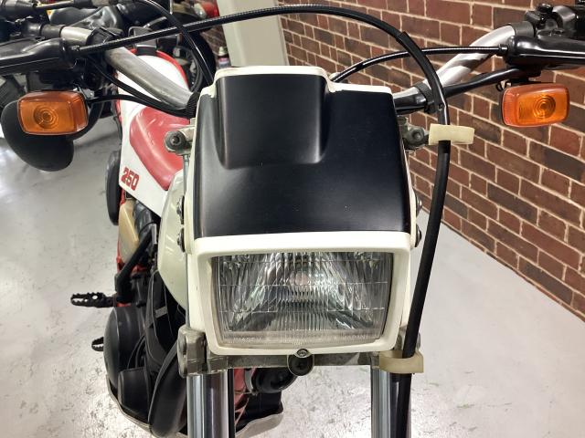 TY250スコテッシュ