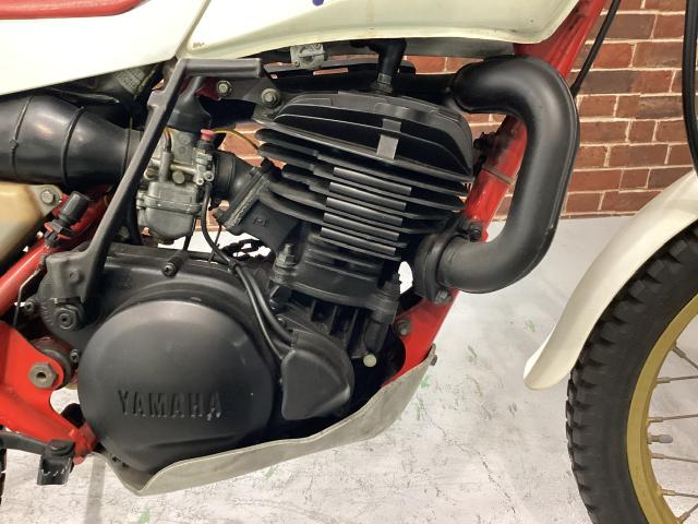 TY250スコテッシュ