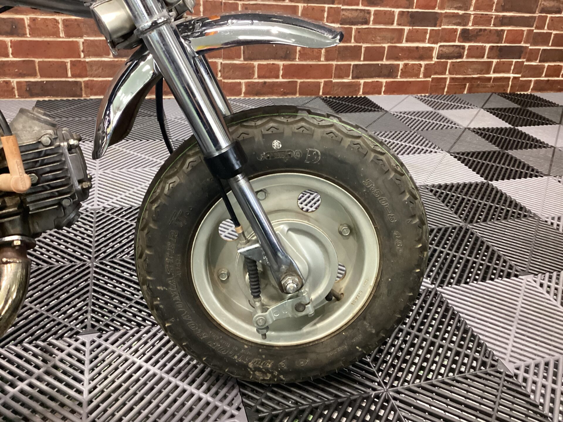 ゴリラ　TOKYO Ltd